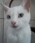 sem nome