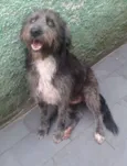 Domenique