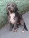 Domenique