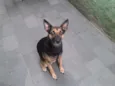 Princesa
