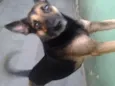 Princesa
