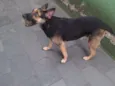 Princesa