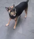 Princesa