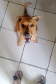 Shaylom
