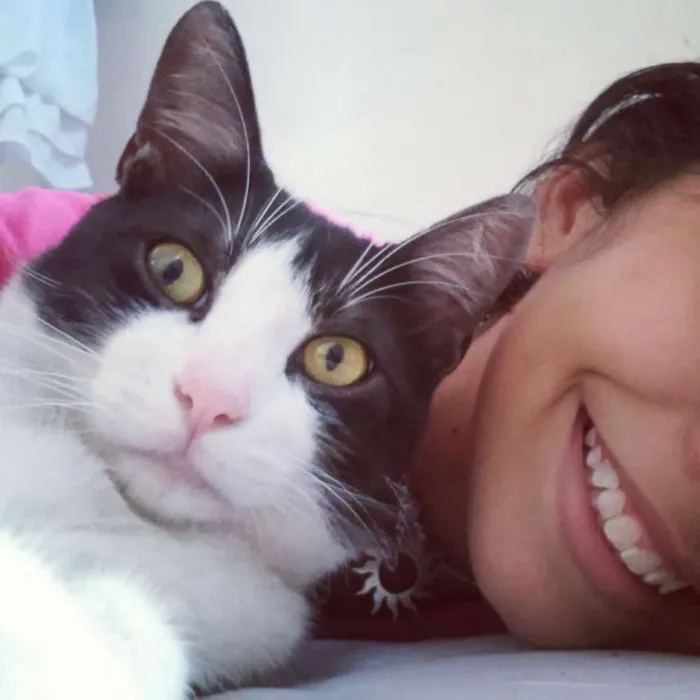 Gato ra a Sem raça definida idade 7 a 11 meses nome Bolota