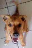 Shaylom