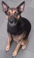 Princesa