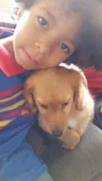 Laika