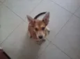 KIRA
