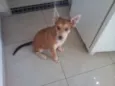 KIRA