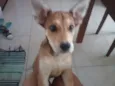 KIRA