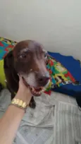 Nina