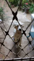 KikI