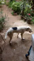 KikI