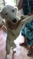 KikI