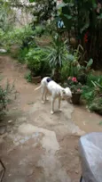 KikI