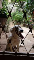 KikI