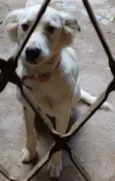 KikI