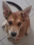 KIRA
