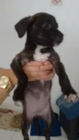 Kiara