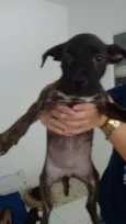 Kiara