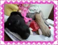 kika