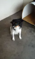 não tem