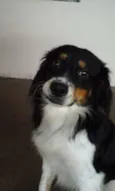 não tem