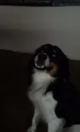 não tem