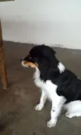 não tem