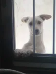 Julie