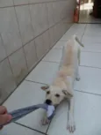 Julie