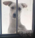 Julie