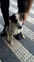 Pìntadinha