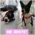 Frida