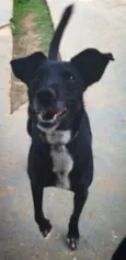Milly