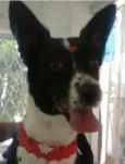 Frida