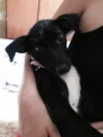 Valentina