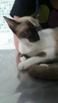 Lua