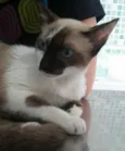Lua
