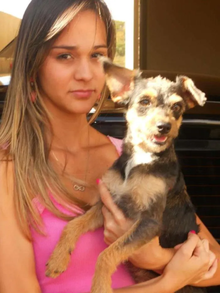 Cachorro ra a VIRA LATA idade 5 anos nome MEL GRATIFICA