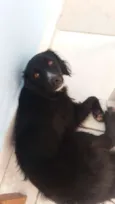 Neguinha