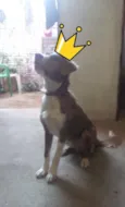 Zeus