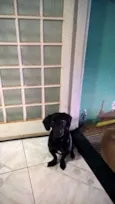 Bob