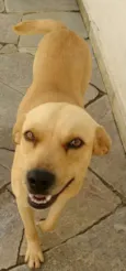 Bob
