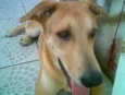 REX