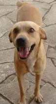 Bob