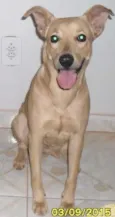 Angelyna