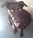 Bolt
