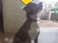 Zeus